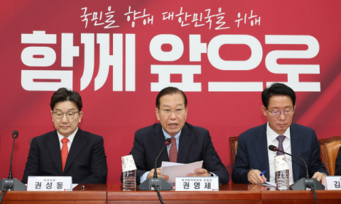 국민의힘 