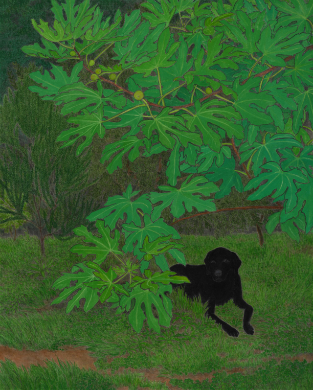 [AB2025] SOCIÉTÉ_Kaspar Müller 카스파 뮐러, Untitled, 2025