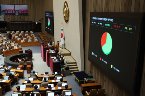 '권한대행 재판관 임명 제한법', 국회 본회의 통과