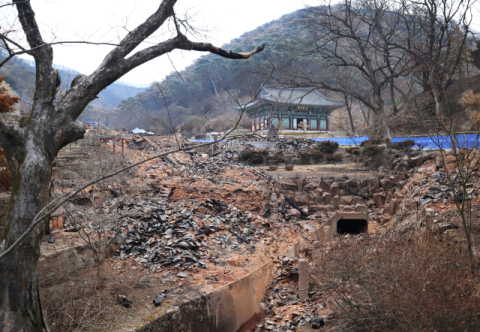 [양진오의 대구경북의 집이야기] 화마가 삼킬 수 없는 천년 사찰, 고운사