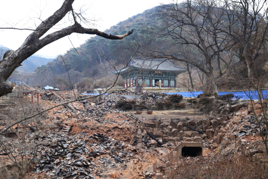 [대구경북의 집] 화마가 삼킬 수 없는 천년 사찰, 고운사