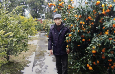 매일 새벽 4시 일하며 부지런한 70대, 장기기증으로 3명 살리고 하늘의 별