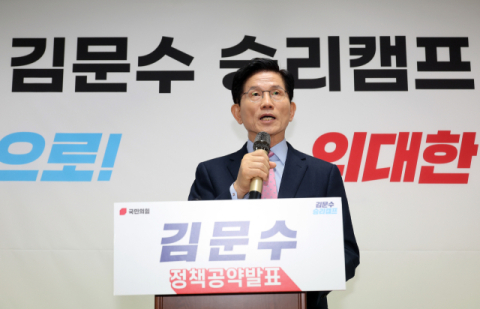 김문수 