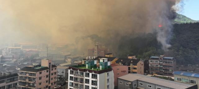 [속보] 대구 함지산 산불 민가 쪽 확산…대응 1단계