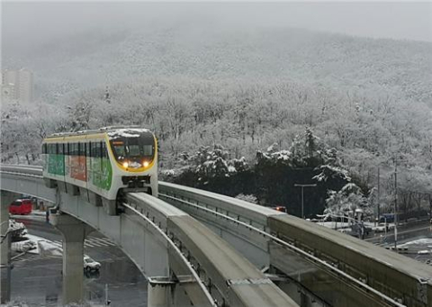 대구시 