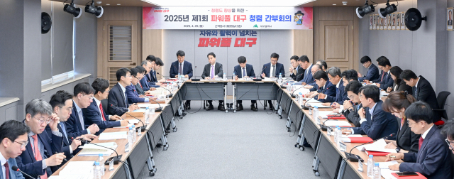 대구시는 28일 김정기 시장 권한대행 주재로 올해 첫 