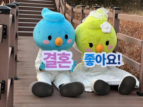 대구 달서구, 달달한 '연애·결혼·중매 사연' 공모전 개최