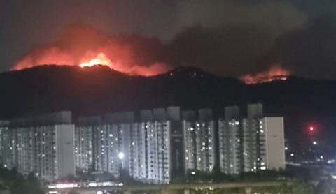 홍준표, 대구 함지산 산불 긴급 호소 '밤새워 진화해달라'