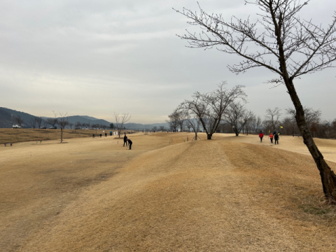 경북 칠곡군, 7개 파크골프장 직영한다