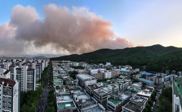 산불 위험 노출한 '숲세권' 대구형 대응 체계 갖춰야