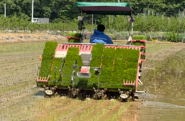 경산시 제공