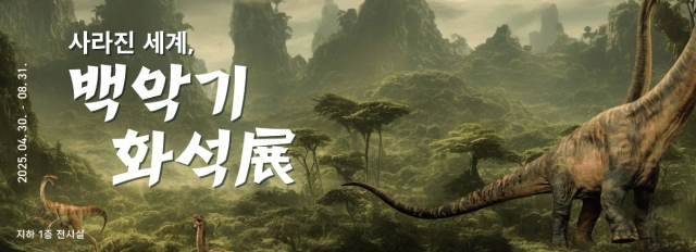 고산도서관 화석 전시 