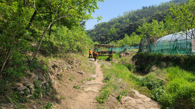함지산 산불 발화지점으로 이어진 농로. 길 옆으로 농경지와 농막 등이 보인다. 남정운 기자