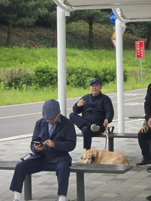 파면된 윤석열 전 대통령이 반려견과 함께 한강공원을 산책하는 모습이 포착됐다. 온라인 커뮤니티 캡처