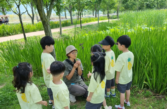 전문 생태 해설사와 함께 창포원 내 동식물에 대해 배우고 직접 체험할 수 있다.