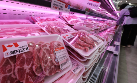 경기 침체에 돼지고기 소비 부진… 농가 