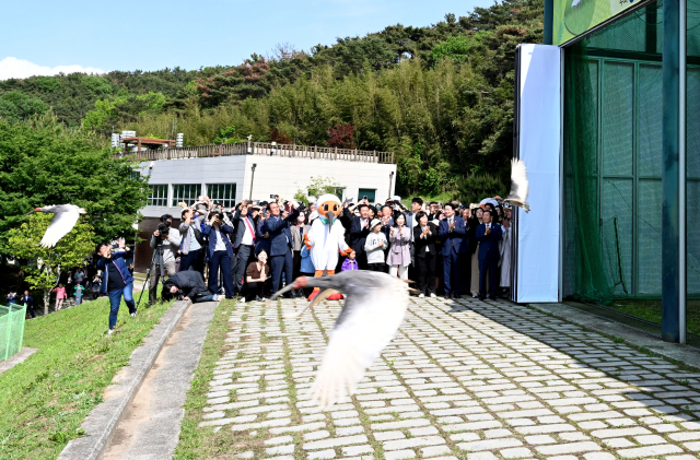 제10회 우포따오기 야생방사 행사 사진. 창녕군 제공◇