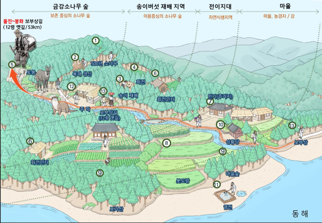 세계중요농업유산 등재 추진 관련 현장실사 - 울진금강송산지농업시스템 이미지. 울진군 제공
