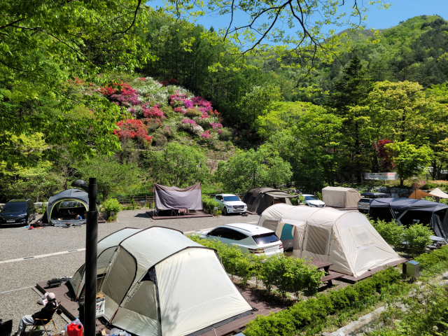 성수산 왕의숲 생태관광지. 계곡변을 따라 어린이 놀이터와 잔디밭, 캠핑장 등이 자리한다. 조선 건국 설화, 아름다운 자연이 어울어진 가족 단위 여행객에게 최적의 휴양림이다. 이민호 기자 lmh@imaeil.com