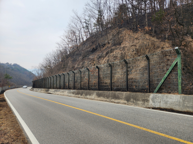 지난 3월 안동시 길안면 천지리를 덮친 산불로 훼손된 도로 낙석 방지망. 경북도 제공