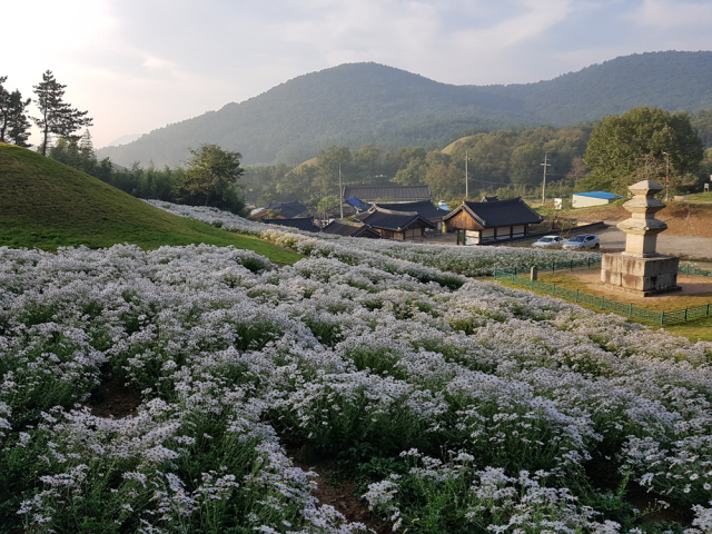 서악동 삼층석탑 정비 후 모습. 신라문화원 제공