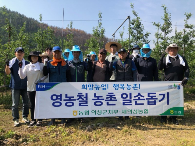 농협 의성군지부와 새의성농협은 지난 13일 옥산면 신계리 산불 피해 농가에서 과수 적과 등 영농철 일손돕기 활동을 펼쳤다. 농협 의성군지부 제공.