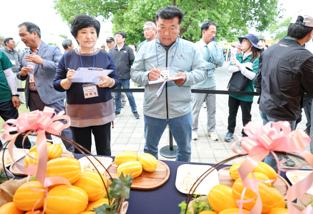2025 성주참외생명문화축제 성주참외 품평회 장면. 성주군 제공.