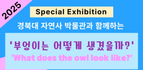 박물관 휴르 특별전 '부엉이는 어떻게 생겼을까?' 개최