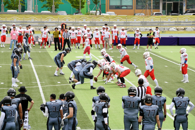 대한미식축구협회 사회인리그