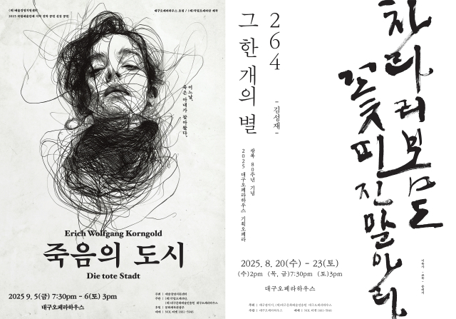 죽음의 도시, 264 그 한개의 별 포스터. 대구문화예술진흥원.