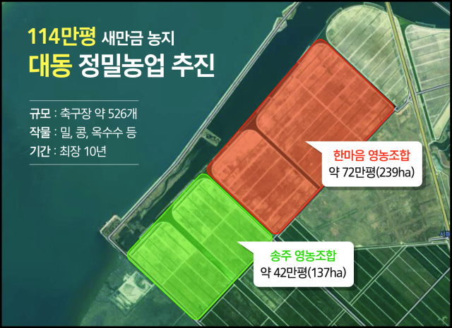 대동제공