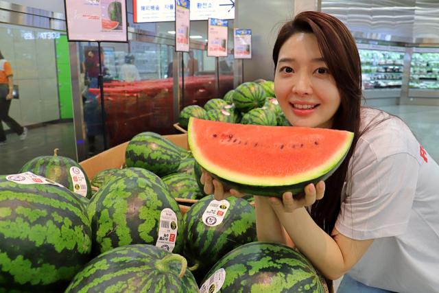 롯데마트가 여름를 앞두고 오는 28일까지 
