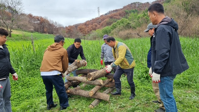 22일 영양군 환경보전과는 지역 주민들과 함께 영양 석보면 장구메기습지에 생태 환경 보전을 위한 곤충호텔(서식지)를 조성했다. 영양군 제공