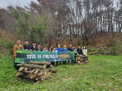 산불로 훼손된 영양 장구메기습지, 곤충호텔로 생태 복원 나서