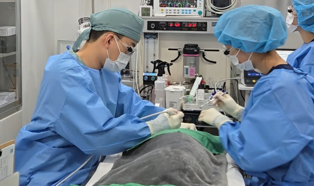 이세원 바른동물의료센터 원장이 반려동물 스켈링 치료를 하고 있다. 대구바른동물의료센터 제공