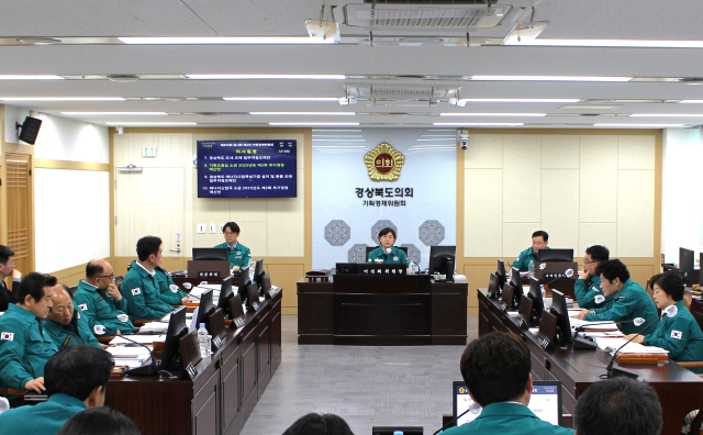 경북도의회 기획경제위원회가 현안 회의를 진행하는 모습. 경북도의회 제공