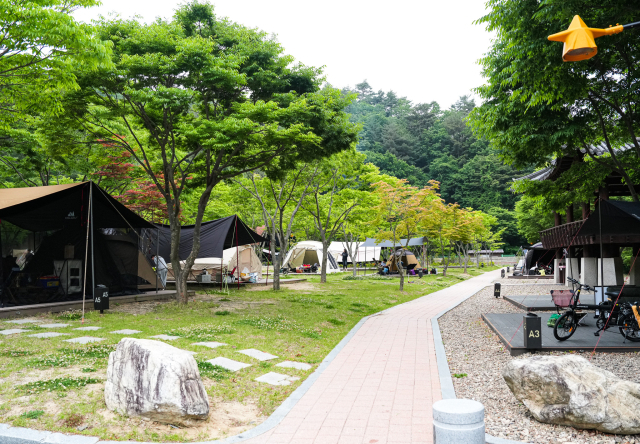 무더운 여름철을 앞두고 영양군 청소년수려원 캠핑장은 조용하고 자연친화적인 환경으로 캠핑객들 사이에서 인기를 끌고 있다. 영양군 제공