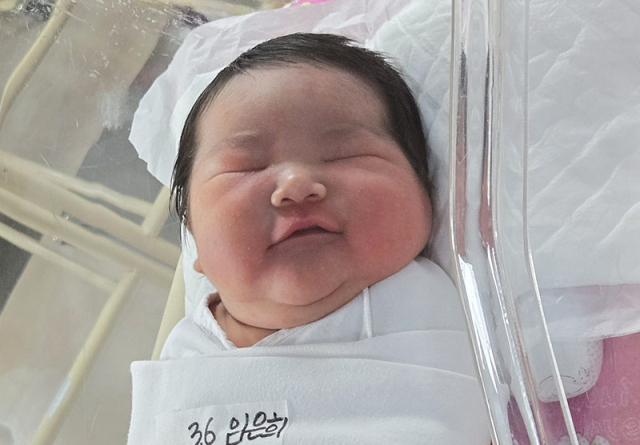 임은희 산모 아기