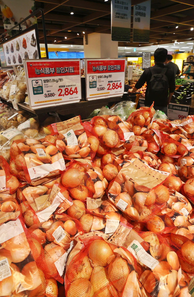 양파값 약세에 정부 수급 대책…비축량 1만5천t 수출