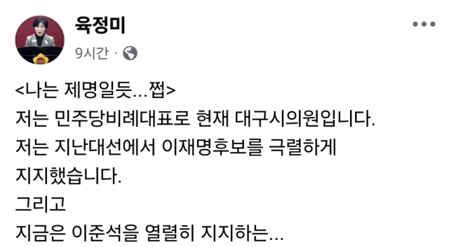 육정미 대구시의원 페이스북 갈무리