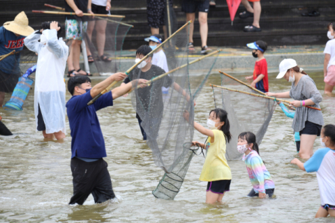 [명품대구경북박람회] 벚꽃부터 산타까지…사계절 대한민국 대표 축제 도시 봉화