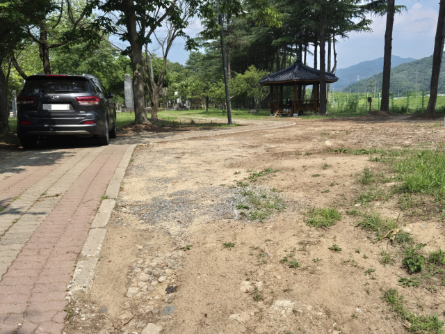 5일 오전 방문한 대구 동구 미대동 공산호국공원. 노후된 보도블럭이 파손돼있고 잡초가 무성했다. 나무 뒤로 미대 여봉산 3·1독립만세운동 기념비가 보인다.