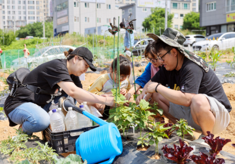 도심 속 농부…경북 칠곡군 석적읍 도심속 주말농장 무료 운영 