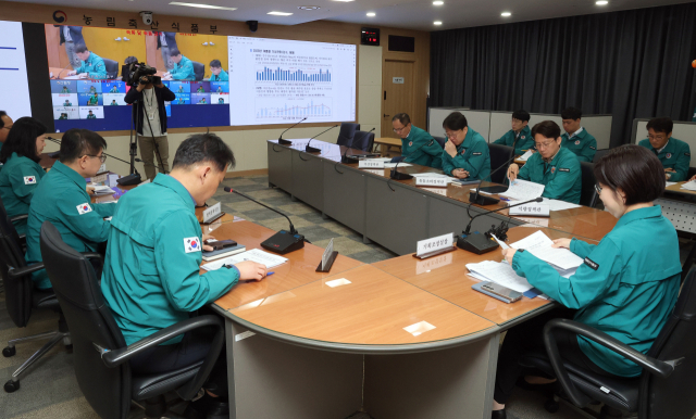 농림축산식품부 박수진 기획조정실장이 지난달 14일 정부세종청사 농업재해대책상황실에서 여름철 재해 대비 농업재해대책 회의를 주재하고 있다. 연합뉴스