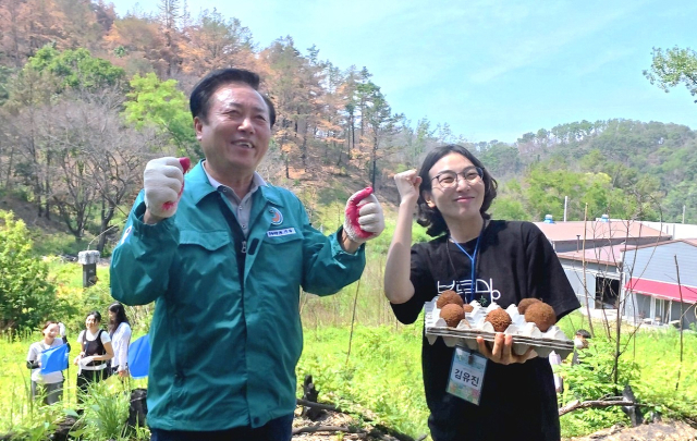 안동시는 지난 7일 산불피해지역의 초록회복을 위해