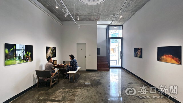 지난 5월 초 최봉영 대표가 대구 봉산문화거리에 문을 연 갤러리 제이아이(JI) 1층. 개관 기념으로