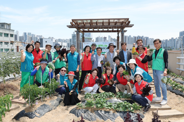동인동지역사회보장협의체, 통우회, 새마을협의회·부녀회 등 협의단체 회원들이 청사 옥상 유휴공간을 활용해 텃밭을 조성, 채소를 수확하고 있다.