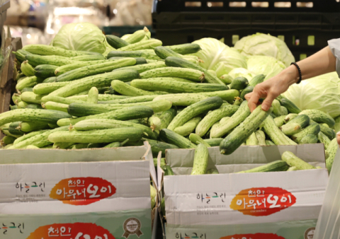 농작물재해보험에 노지 오이·시설 깻잎 내년 신규 도입