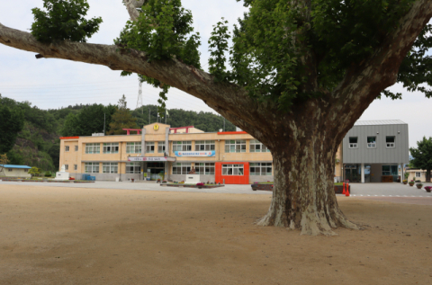 [양진오의 대구경북의 집이야기] 우람한 숲속의 집, 임고 초등학교