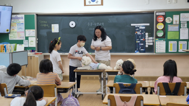 지난달 21일 대구 수성구 복명초등학교 3학년 학생이 대구보건대의 